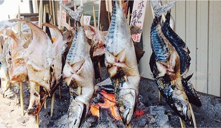 新泻有什么好玩的,新泻游玩