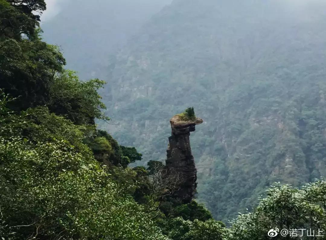 成都坐动车直达这片原始秘境！深幽峡谷、云海奇观、罕见古村…带你逃离夏天！