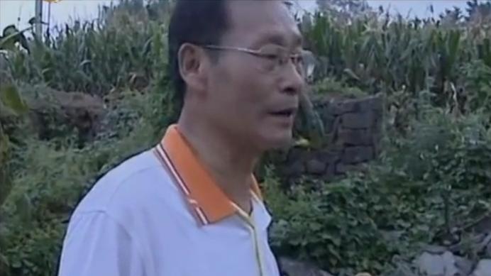 毒蝎进村的真实事件,毒蝎进村的真实原因