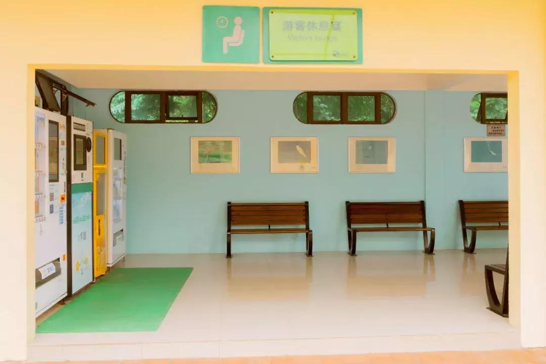 深圳哪里有摩天轮可以坐,深圳哪里有免费摩天轮