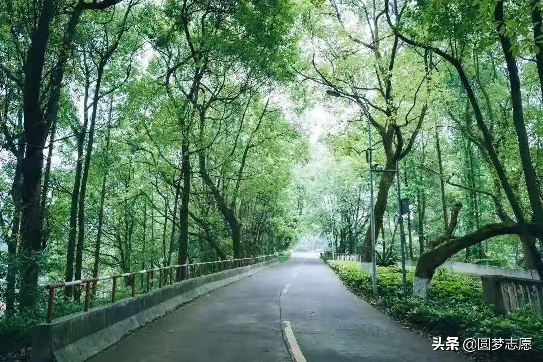 西南交通大学值得上吗,西南交通大学为什么排名这么高