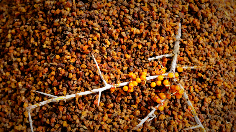新疆喀什游玩与饮食,新疆喀什旅游去哪买特产