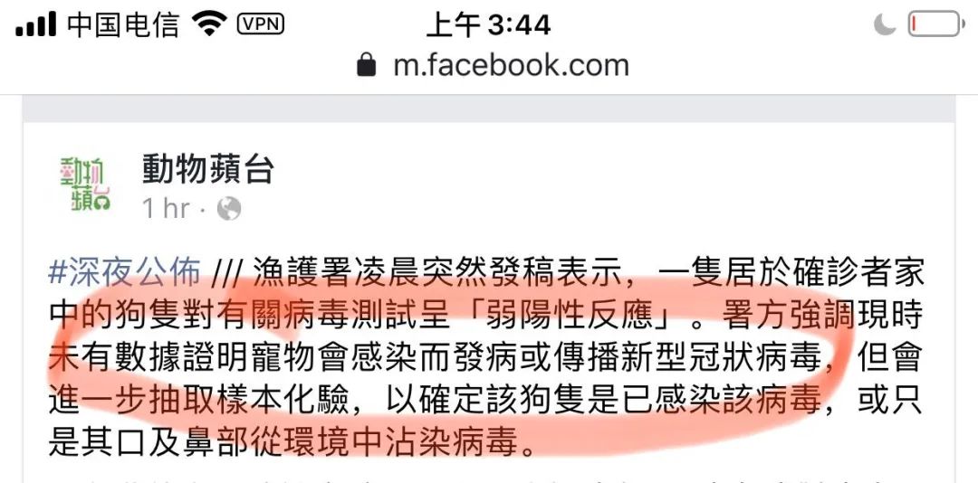 狗和新冠病毒有关系吗,狗感染新冠病毒的症状是什么
