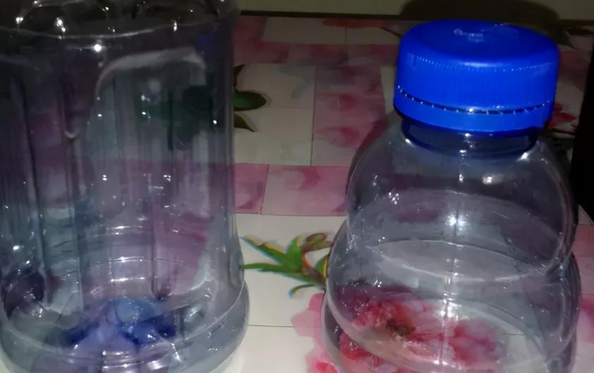 塑料瓶养花妙用大全,塑料瓶养花好还是玻璃瓶养花好