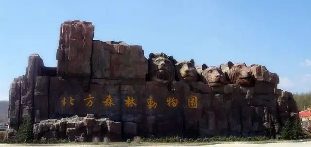 旅游哈尔滨的攻略路线怎么走,游玩路线哈尔滨