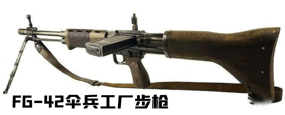 英国枪史图册全篇,德国枪图片