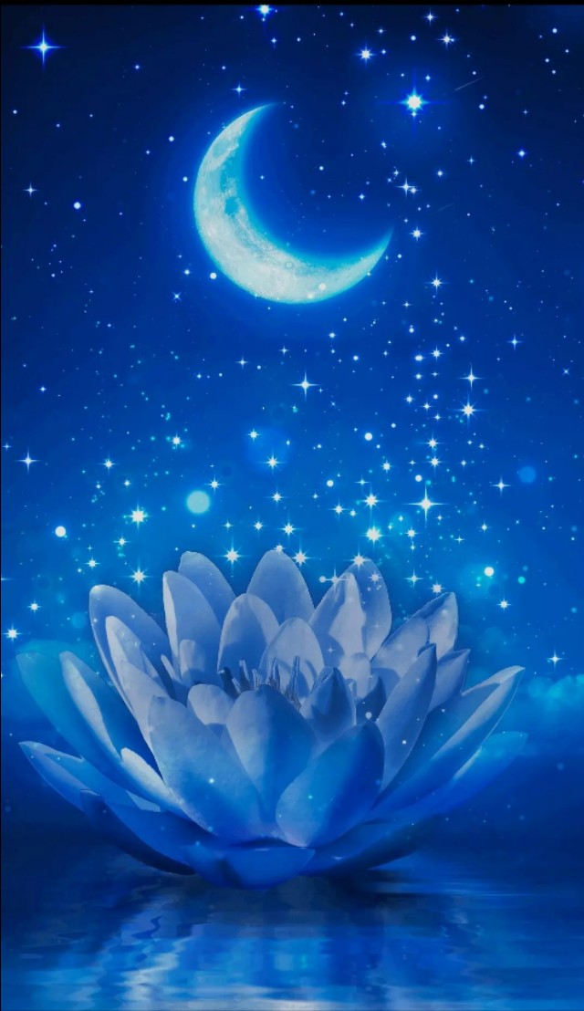 壁纸清新春日,壁纸春日清新