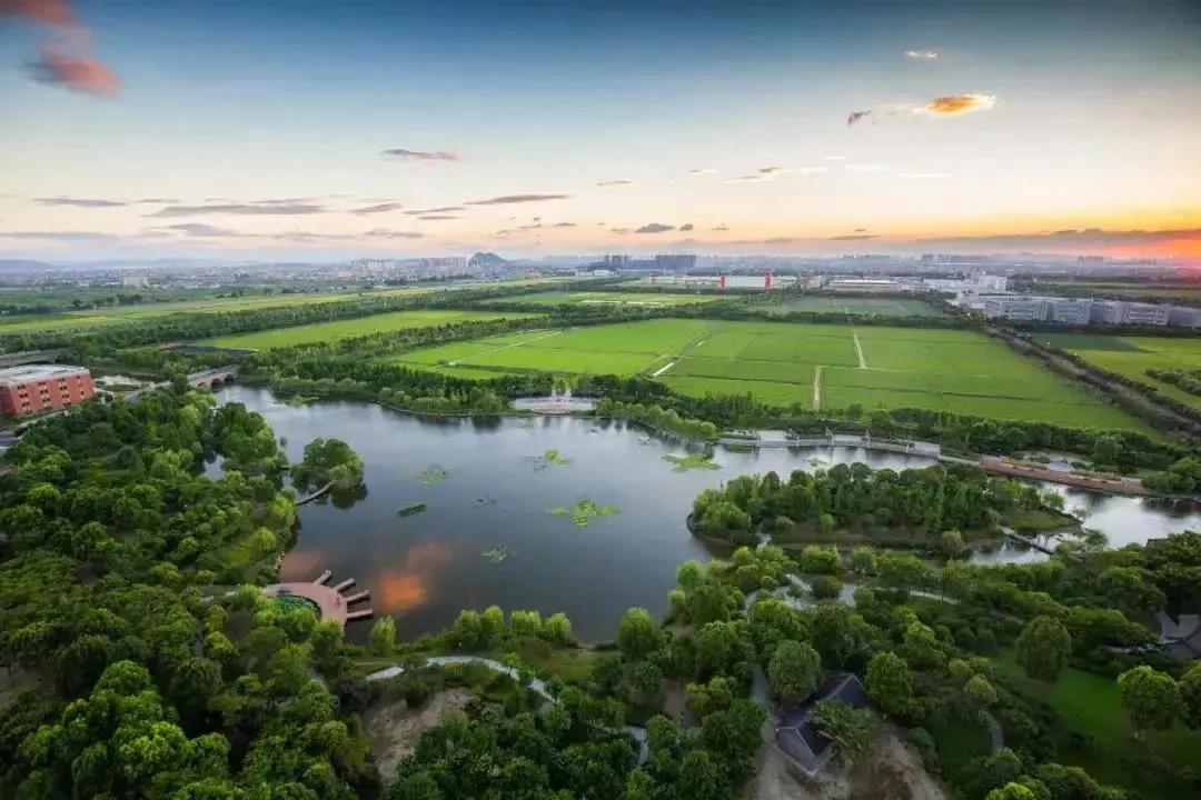 金沙湖钱塘新区,钱塘区金沙湖规划