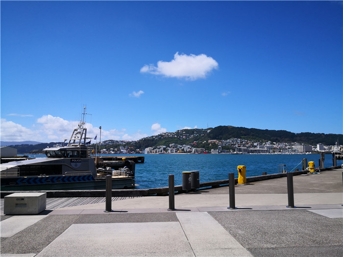 新西兰总理府前吃素食