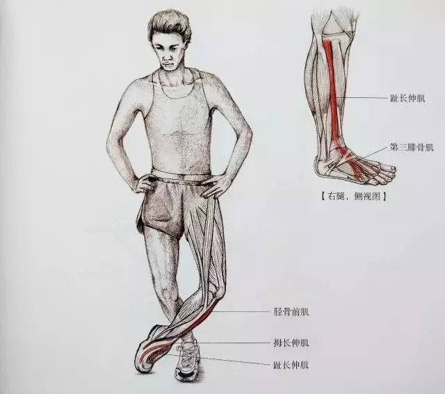 小腿拉伸图解告别疙瘩腿,大腿内侧有疙瘩怎么拉伸