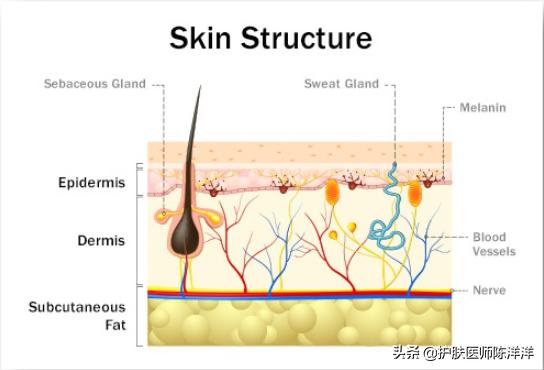 精准护肤首倡者丁慧教授对肌肤问题的现状与思考