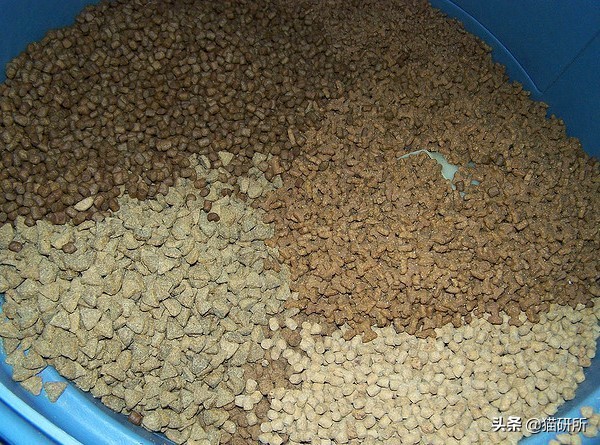 猫砂的100个常识,猫砂成分能被什么反应掉