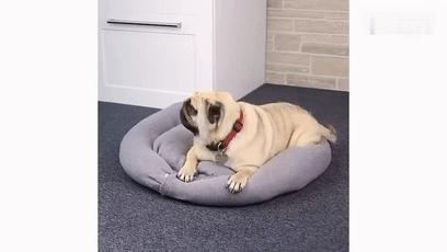 旧枕头不要扔掉不然会后悔的,旧枕头别扔