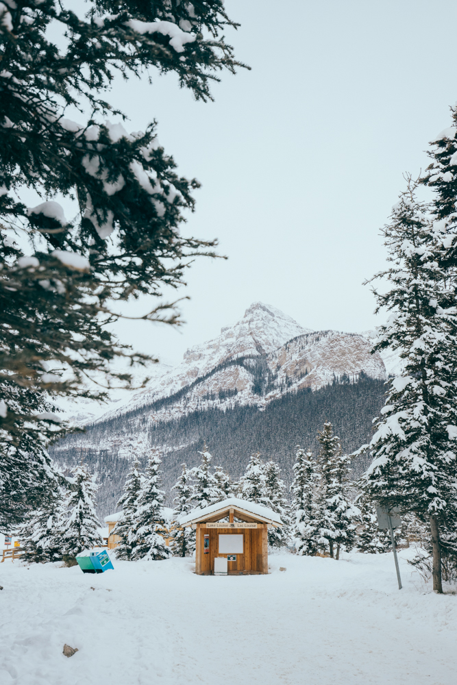 浣宠兘eosr,浣宠兘eosr浣跨敤鏁欑▼