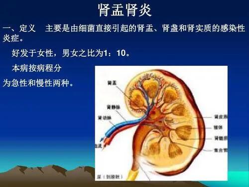 尿频尿急尿血反复发作女性,女性为什么会尿急尿频尿痛