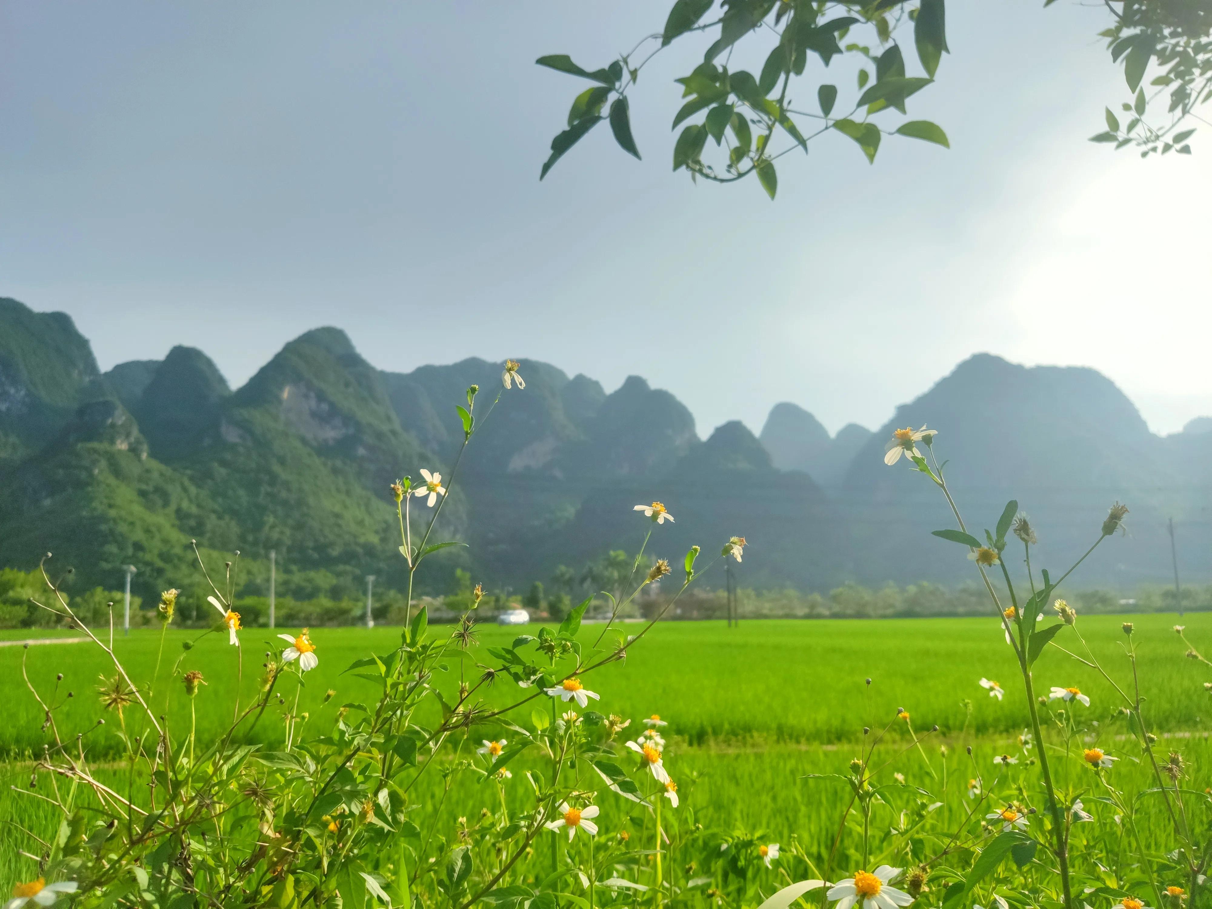 回家租车自驾,回家租车哪个牌子好