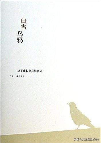 迟子建十大经典小说,迟子建的十部经典小说免费阅读