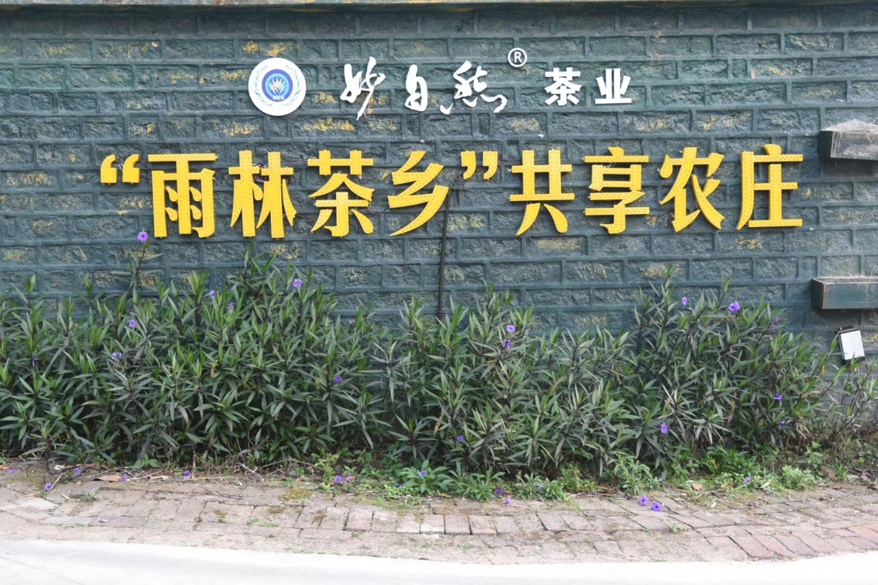 调研联盟,联合调研乡村振兴