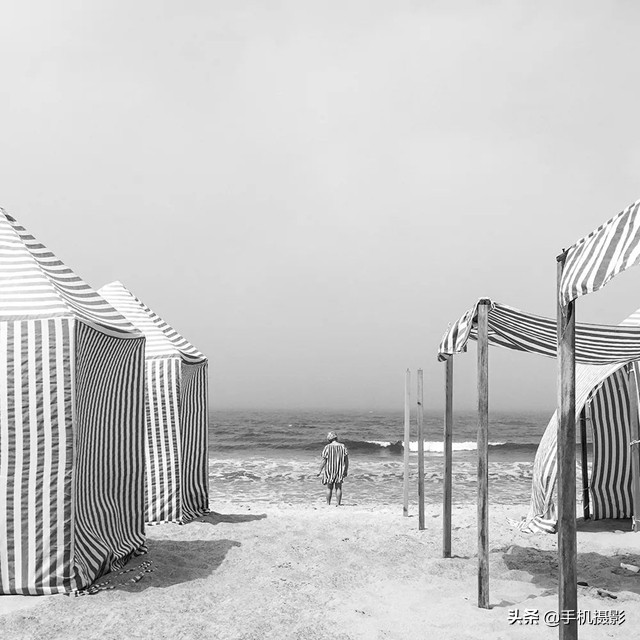 ippa摄影大赛年度总冠军,ippa摄影大赛2014