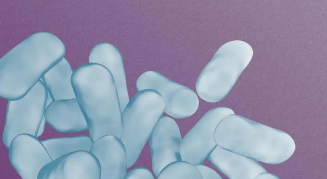 调整情绪抑郁焦虑的益生菌,抑郁吃哪种益生菌好