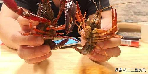 小伙半夜吃三斤小龙虾结果悲剧了,小伙半夜吃六斤小龙虾结果悲剧了