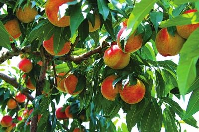 清华学霸讲数学全集,清华学生理综300分