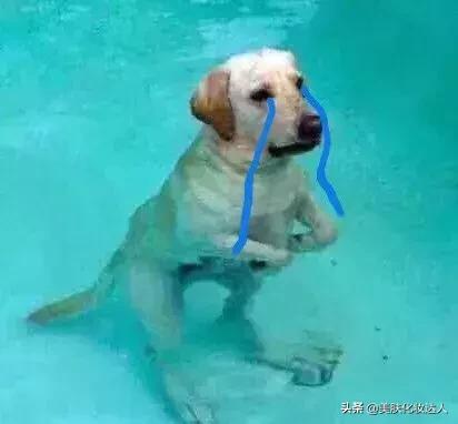 俄罗斯的化妆品和护肤品,俄罗斯的化妆品质量好吗