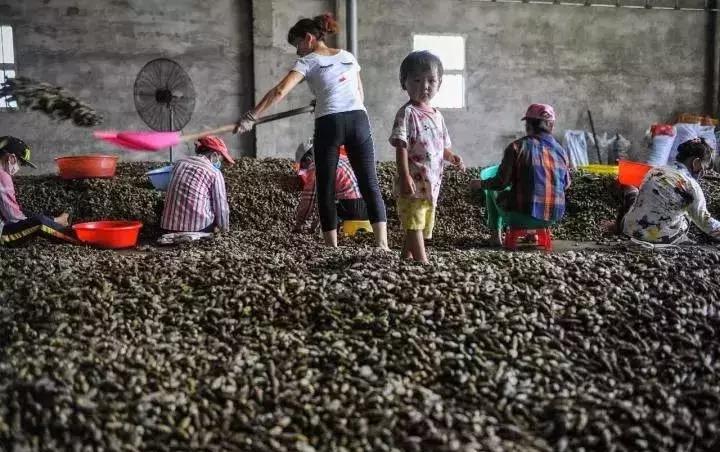 戒了零食会是什么样,戒了吧零食