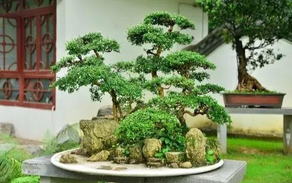 涔愬姩鑺辨捣,涔愬姩鑺辨捣宕囧窞