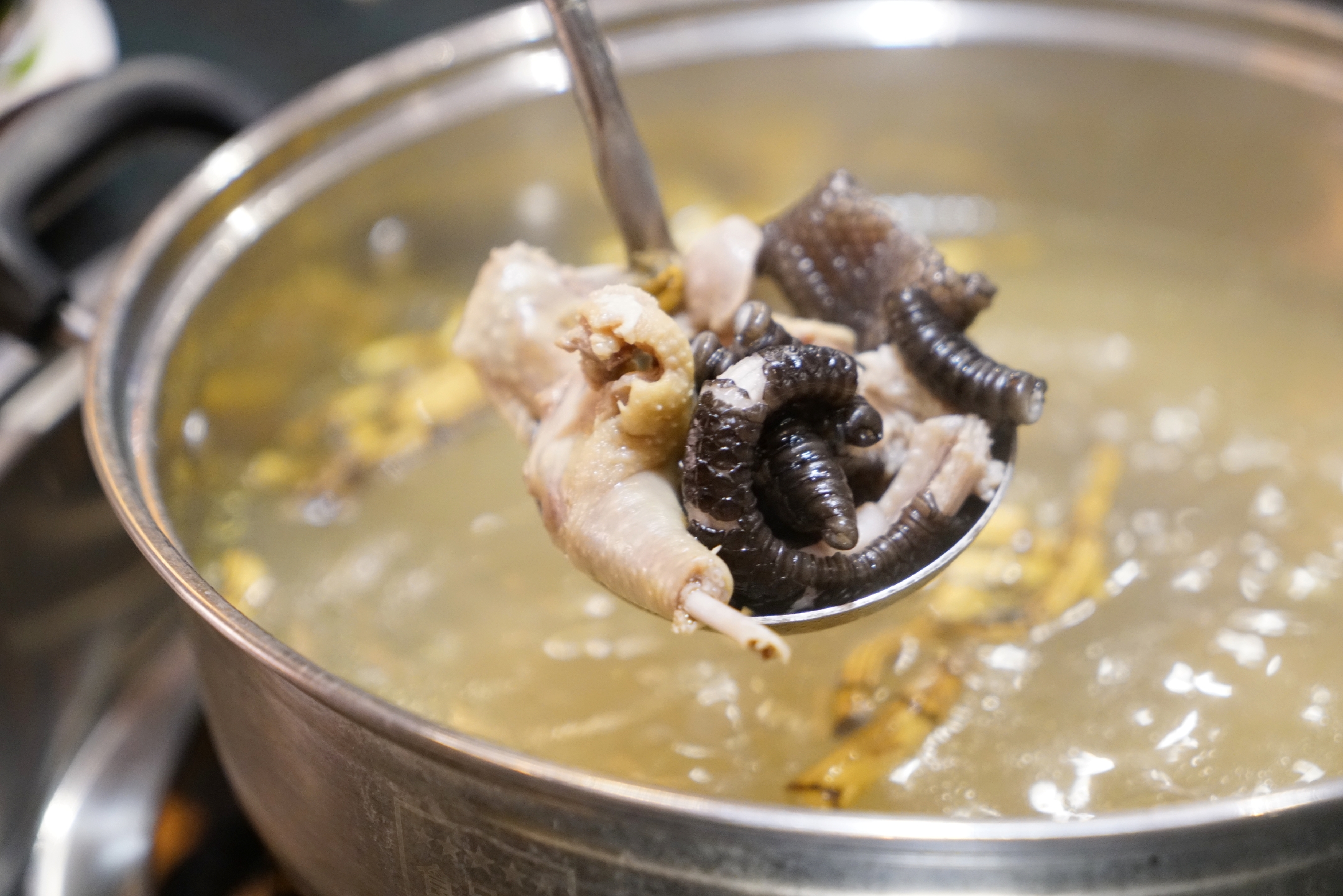 蛇肉有些蛇能吃还是有些蛇不能吃,蛇肉冬虫夏草