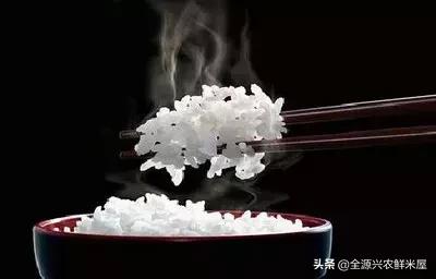 “君食一餐饭，三日齿留香”，东北大米为什么好吃呢？