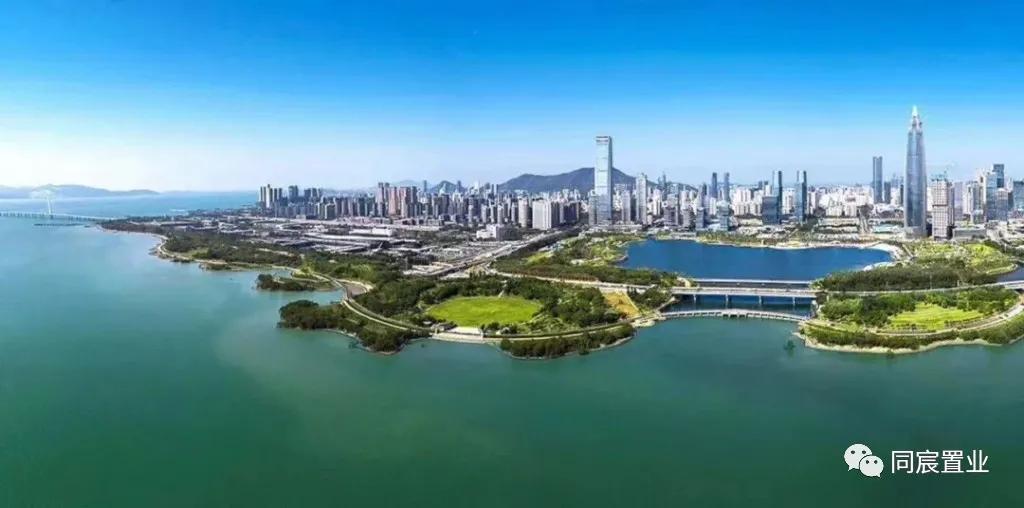 深圳湾三湘海尚208平毛坯,深圳湾三湘海尚和红树西岸