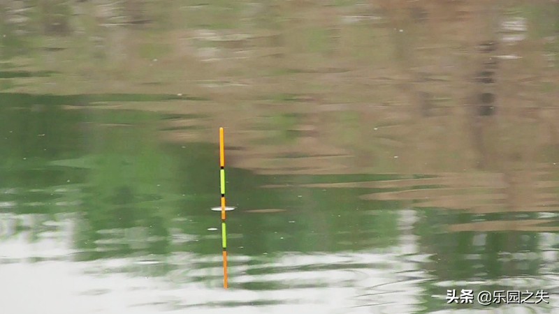 挂鱼饵钩尖的位置,挂鱼的钩子挂底了怎么办