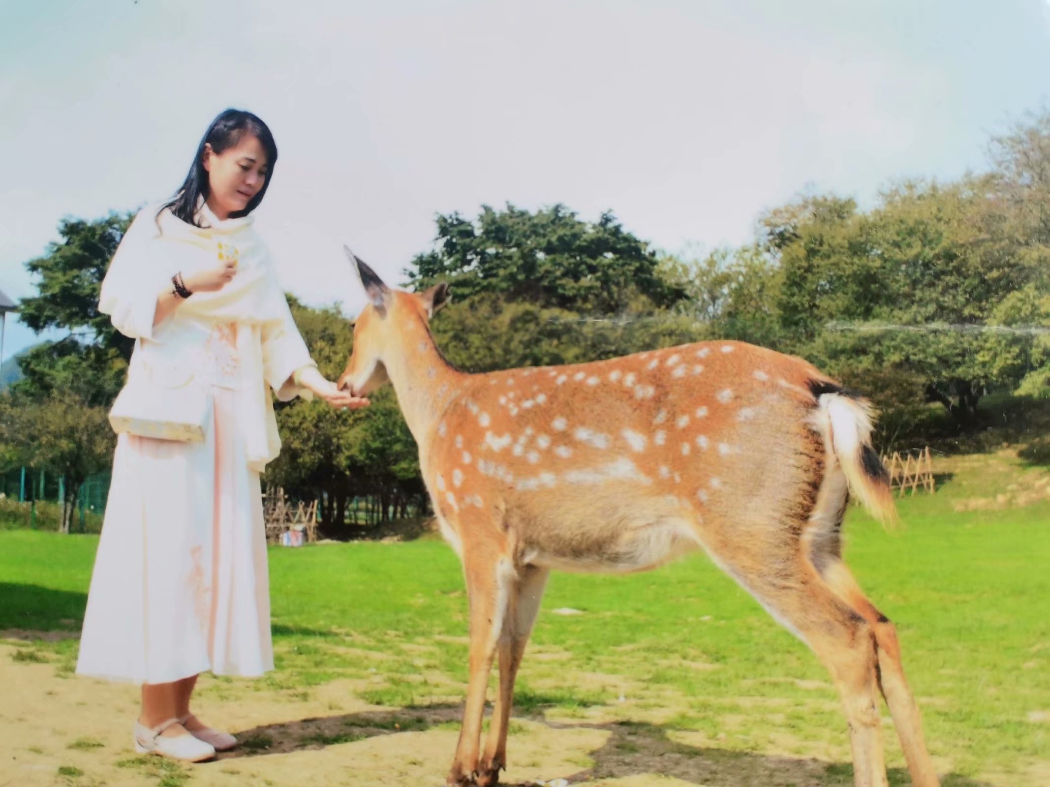 神农架大九湖最美雪景,神农架神农顶大九湖