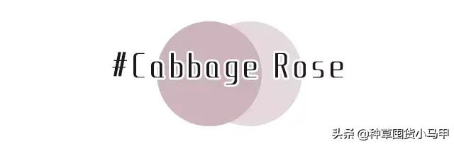 专柜出现假货新闻,专柜售假是真的吗