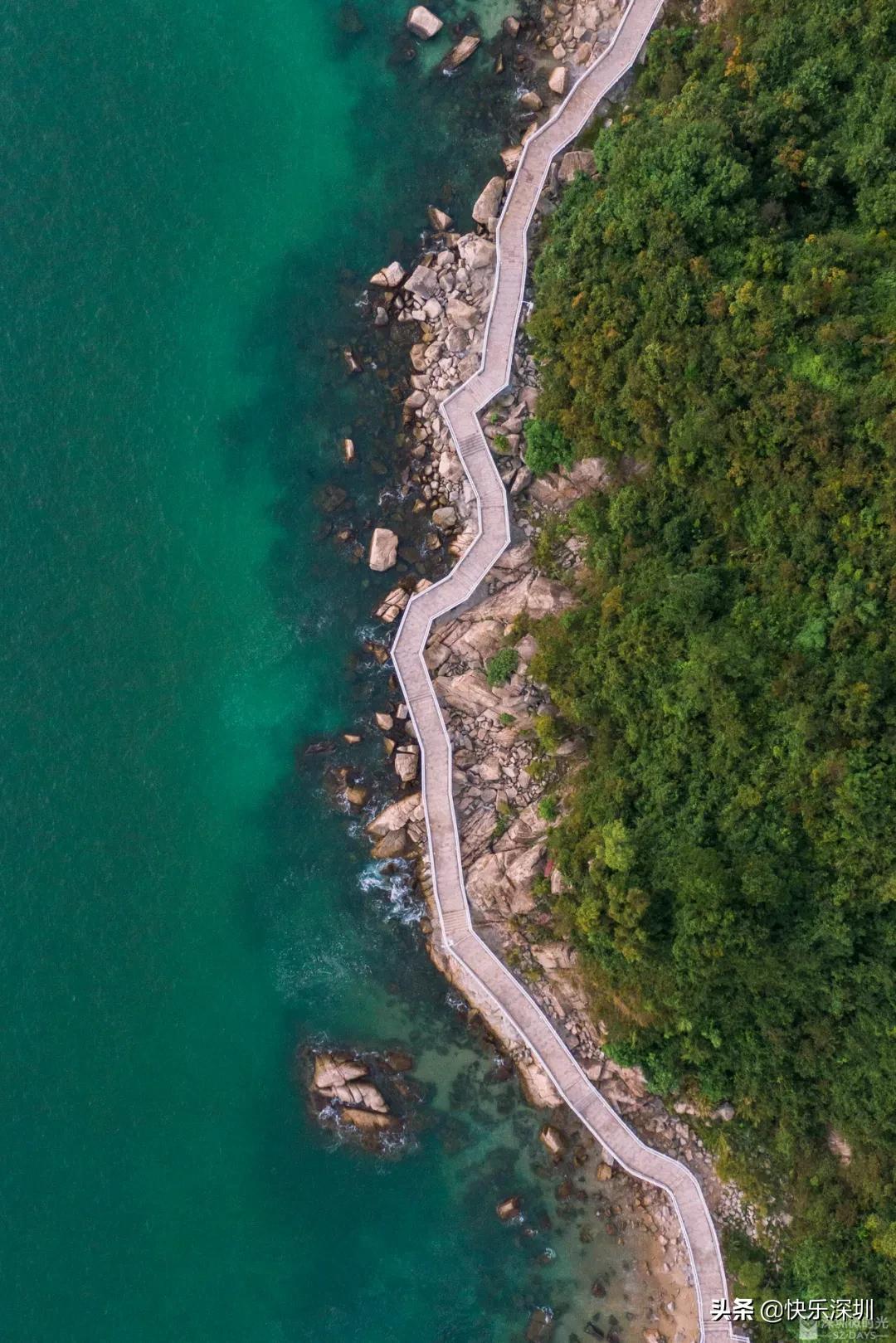 深圳新开通地铁看海,深圳新开通地铁通往海边是几号线