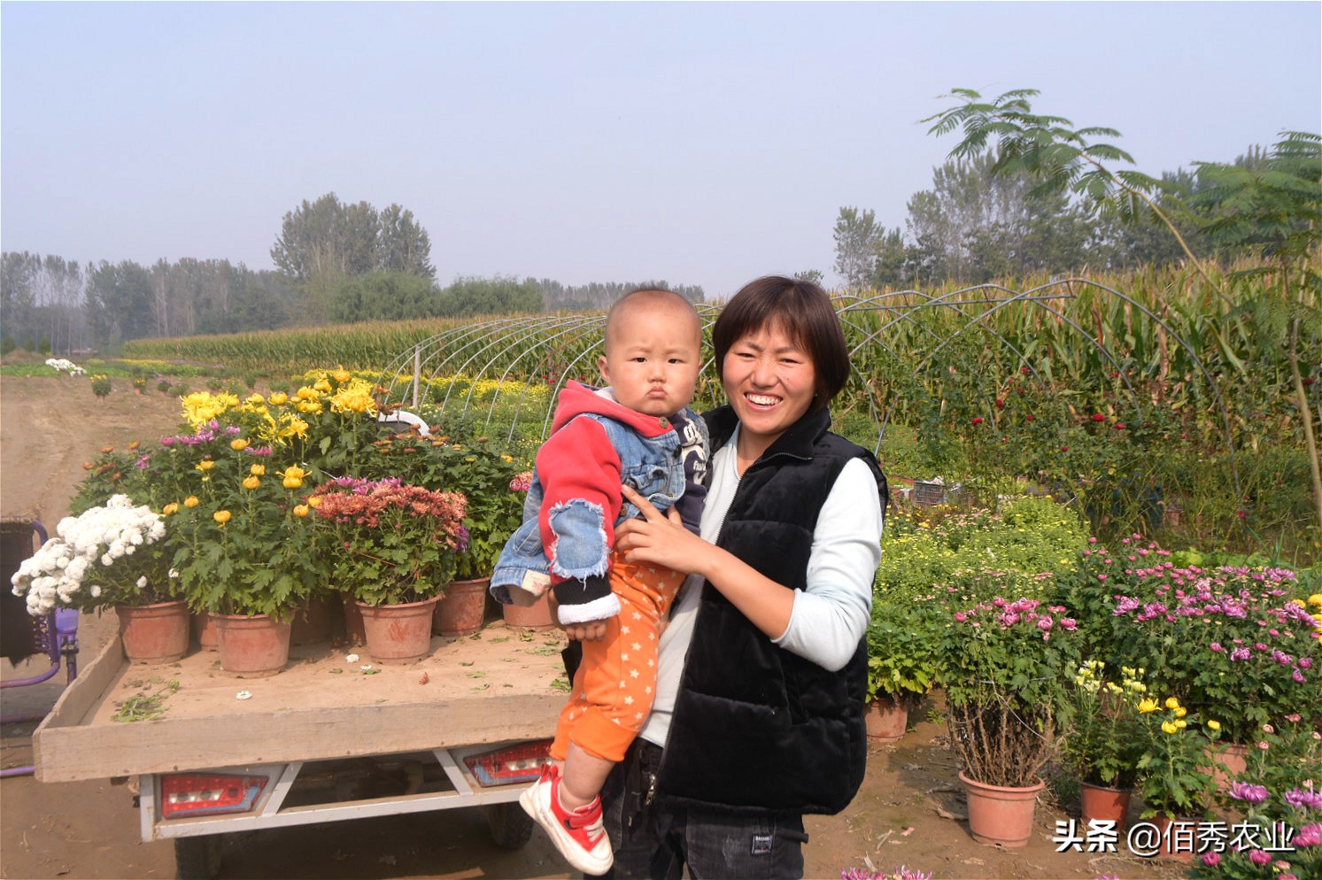 未来5年农村可能暴富的4种行业,农村最冷门赚钱行业