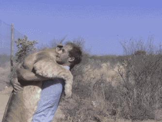 学会这招不愁找不到女朋友,学会这几招不怕找不到女朋友