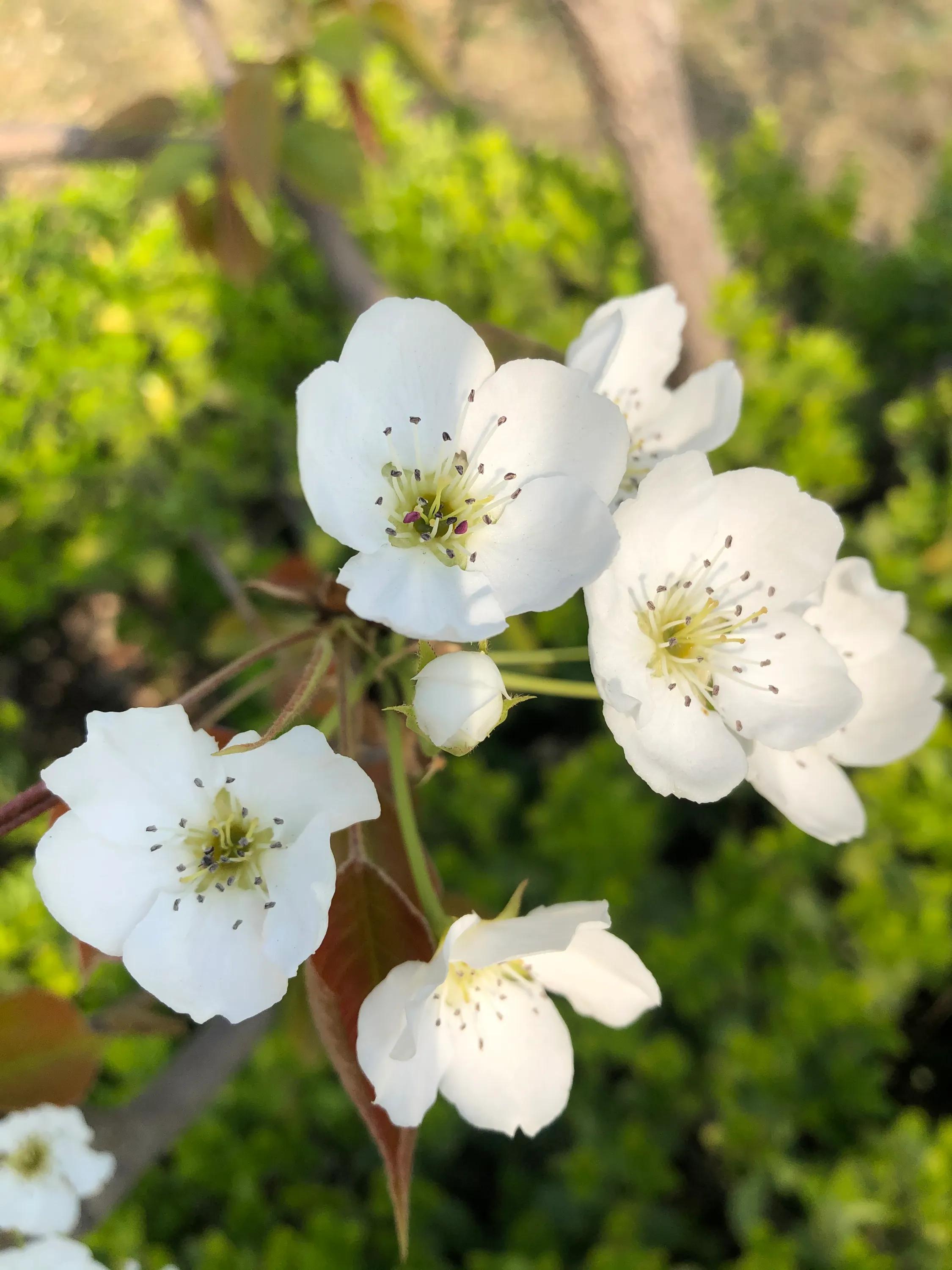 考研必备考点,考研知识点学不明白怎么办