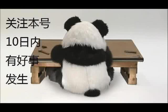 连大学校队也输的这支国足终于赢球了,球迷:下一场现原形!