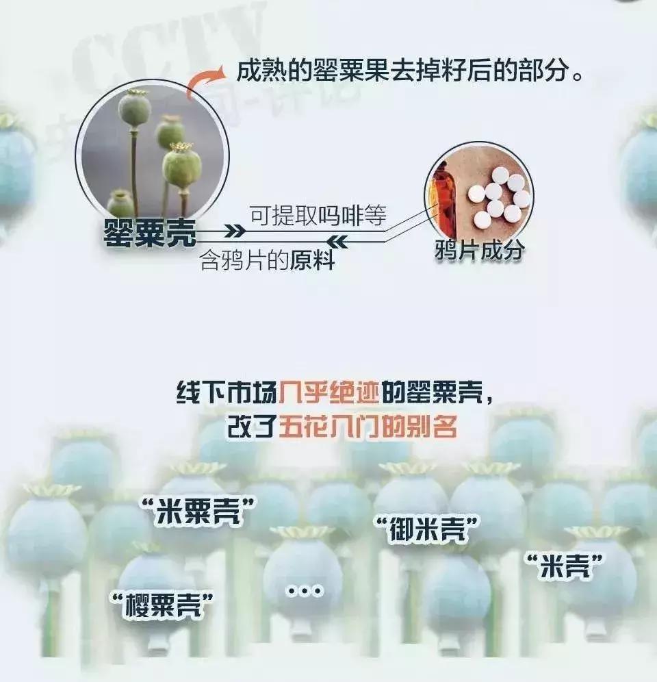 女子宵夜后尿检呈阳性!罪魁祸首竟是......