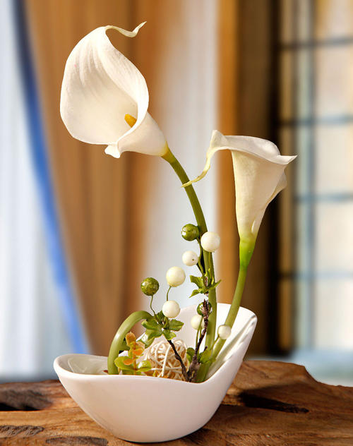 鲜花插花技巧专业术语,插花常见鲜花名称大全