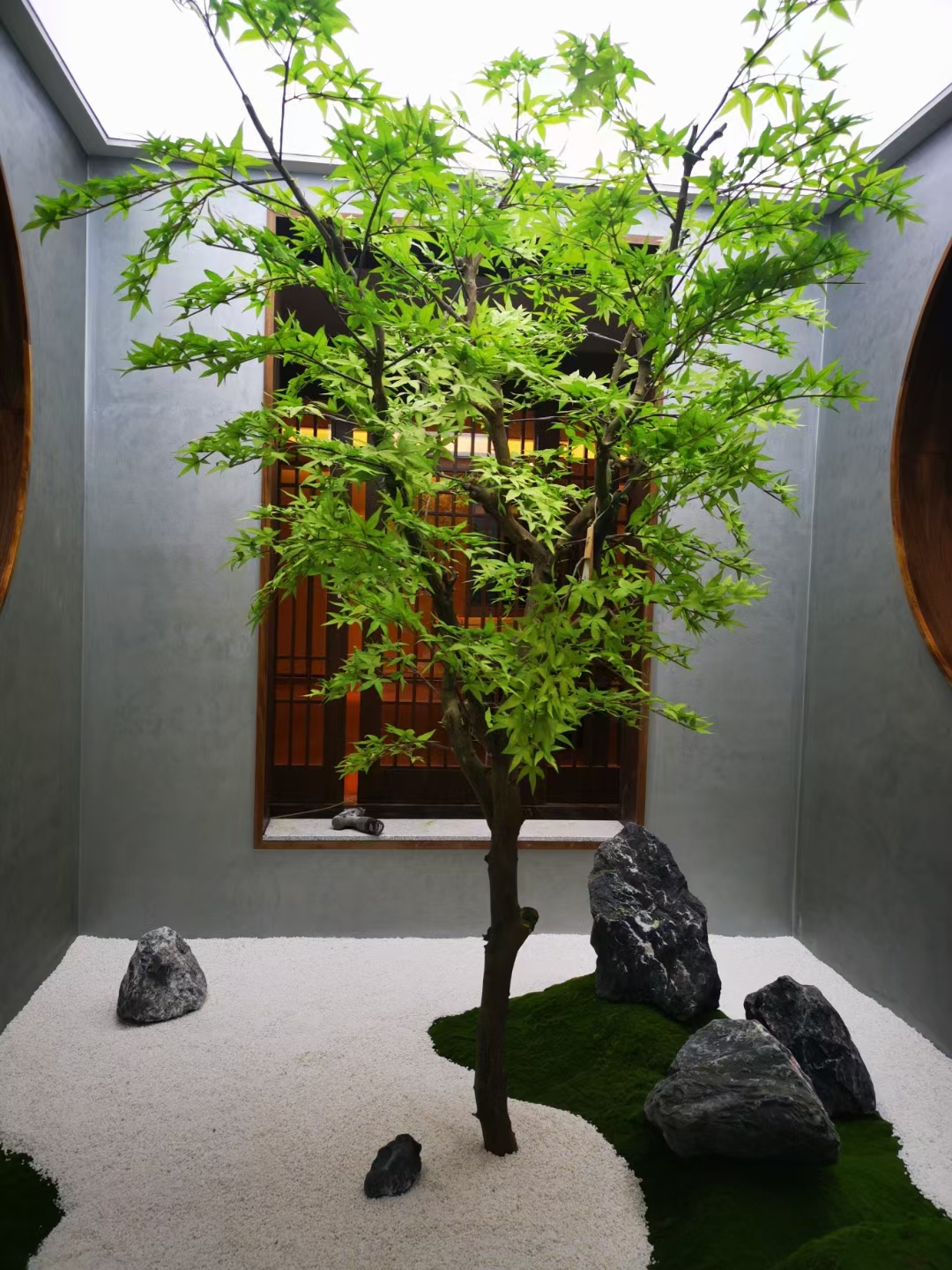 家里院子适合放什么盆栽,家里院子放什么好看