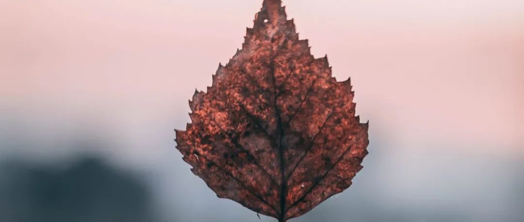 私人整形导致毁容怎么办,私外整形手术危险吗