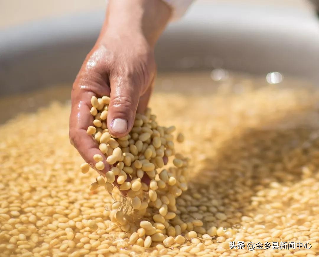 金乡白粥的做法,金乡特产名吃大全图片