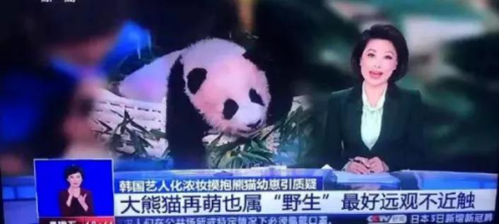 韩国教授内涵吴京运动服抄袭，被骂后认怂删文，并非首次碰瓷中国