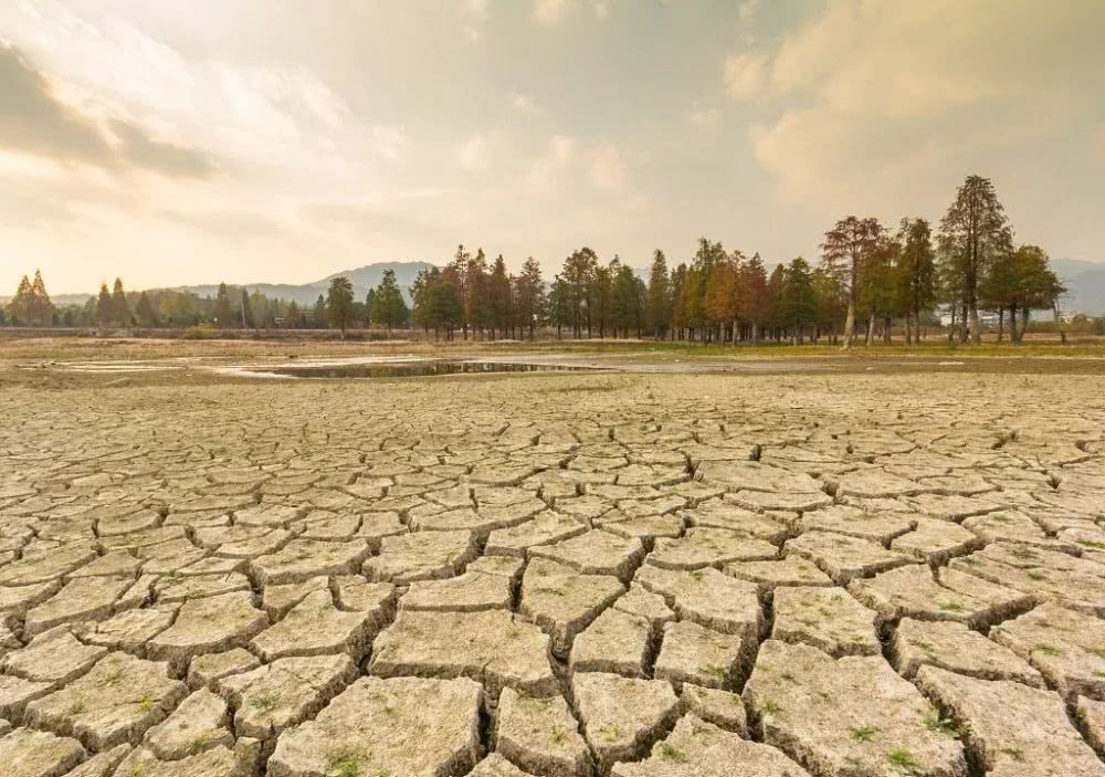 粉底液推荐颜究所,大牌粉底液真实测评