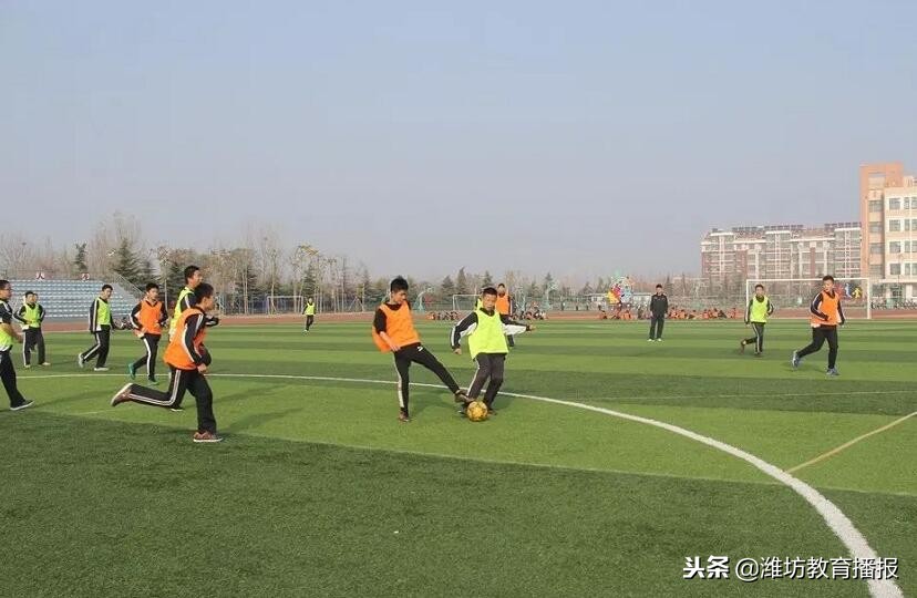 足球小将驰骋绿茵比拼球技,无限风采始于足下内容