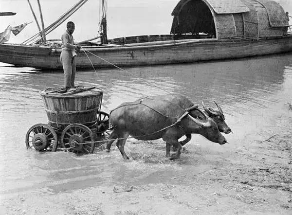 江浙沪民国照片 (民国流氓照片)