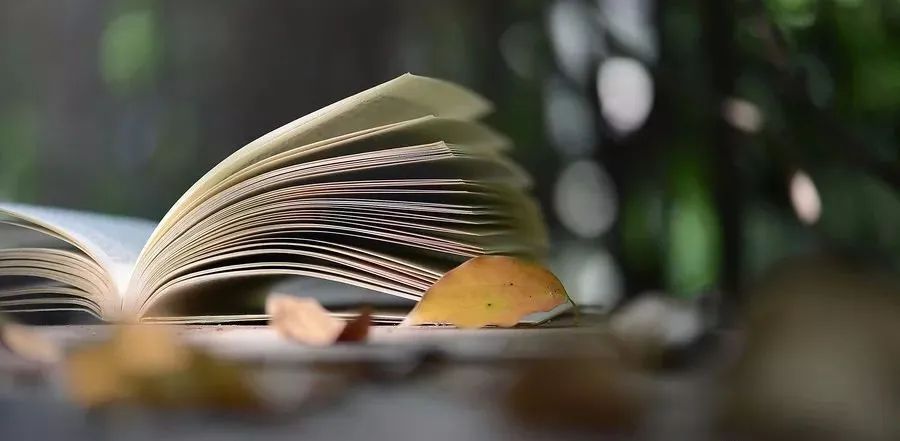 始于陪伴陷于教育忠于三观,始于教养陷于才华忠于人品